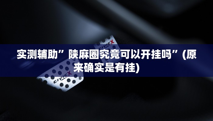 实测辅助”陕麻圈究竟可以开挂吗”(原来确实是有挂)
