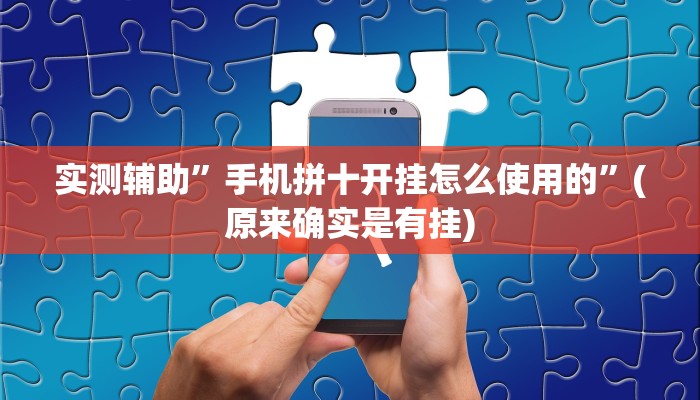 实测辅助”手机拼十开挂怎么使用的”(原来确实是有挂)
