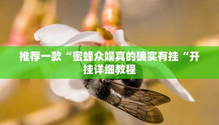 推荐一款“蜜蜂众娱真的确实有挂“开挂详细教程