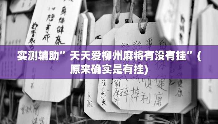实测辅助”天天爱柳州麻将有没有挂”(原来确实是有挂)