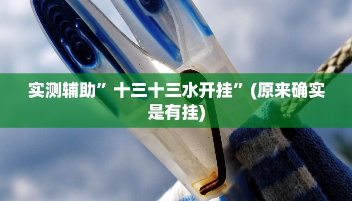 实测辅助”十三十三水开挂”(原来确实是有挂)