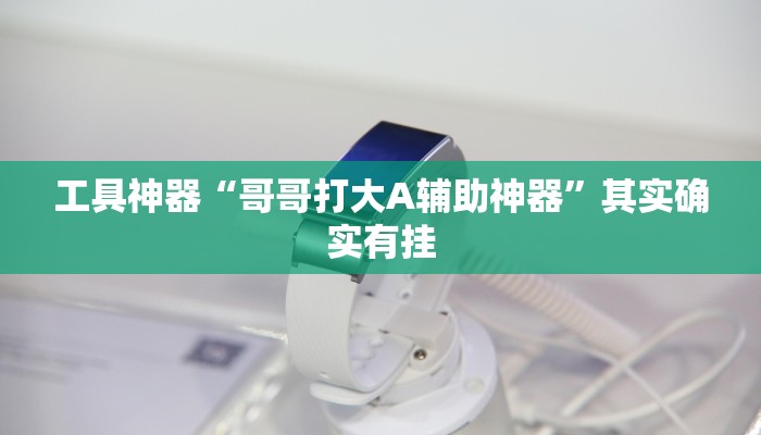 工具神器“哥哥打大A辅助神器”其实确实有挂