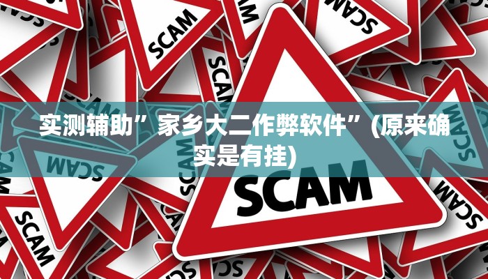 实测辅助”家乡大二作弊软件”(原来确实是有挂)