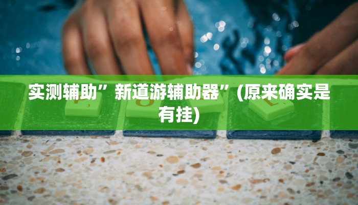 实测辅助”新道游辅助器”(原来确实是有挂)