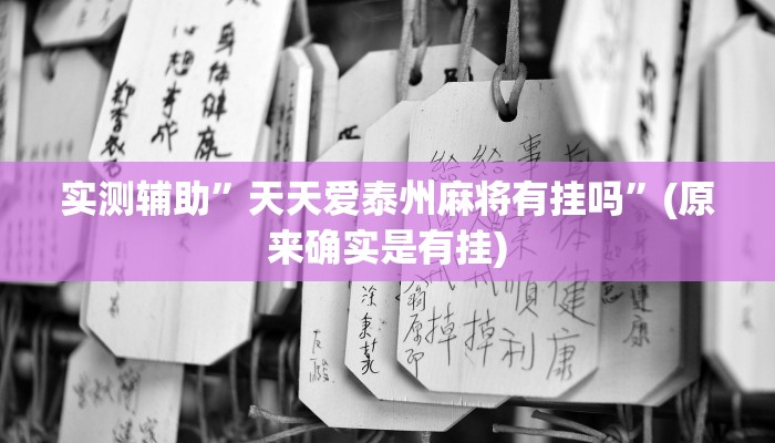 实测辅助”天天爱泰州麻将有挂吗”(原来确实是有挂)