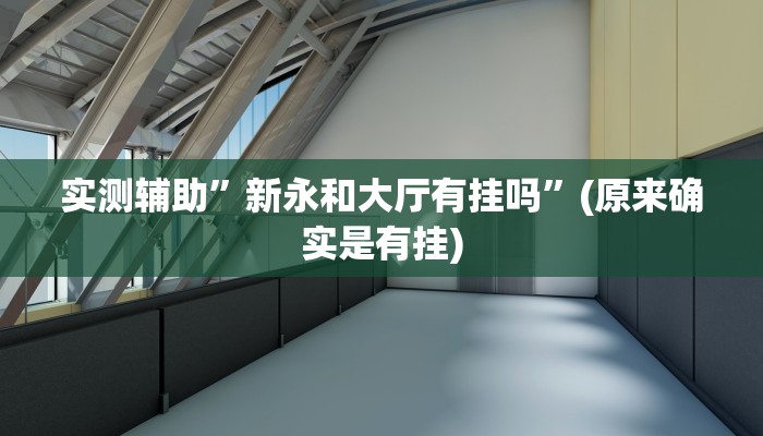 实测辅助”新永和大厅有挂吗”(原来确实是有挂)