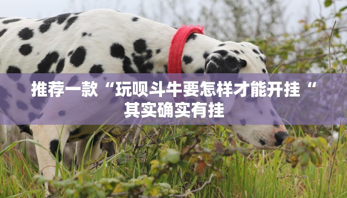 推荐一款“玩呗斗牛要怎样才能开挂“其实确实有挂