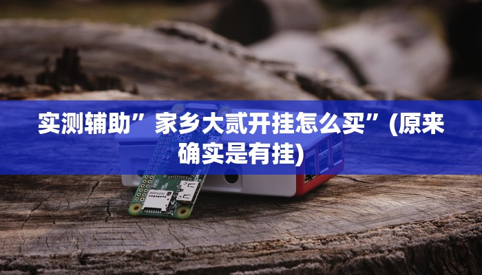 实测辅助”家乡大贰开挂怎么买”(原来确实是有挂)