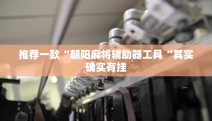 推荐一款“朝阳麻将辅助器工具“其实确实有挂