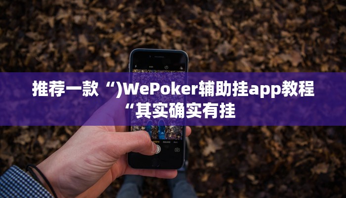 推荐一款“)WePoker辅助挂app教程“其实确实有挂