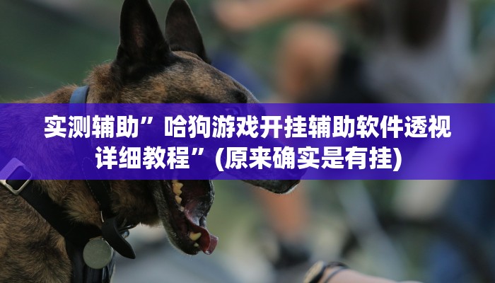 实测辅助”哈狗游戏开挂辅助软件透视详细教程”(原来确实是有挂)