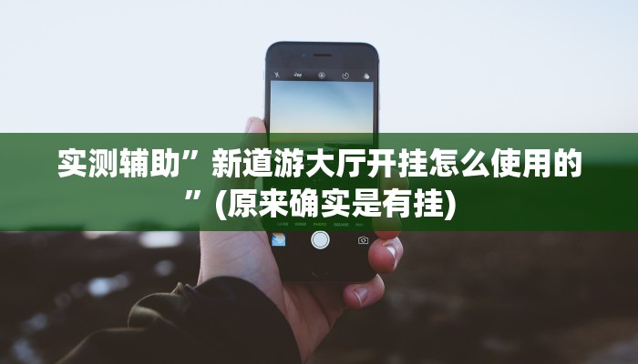 实测辅助”新道游大厅开挂怎么使用的”(原来确实是有挂)