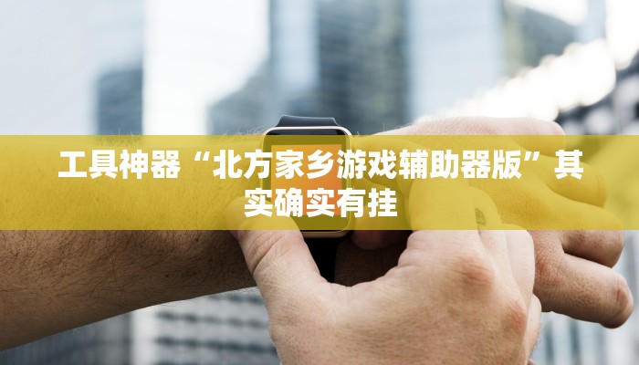 工具神器“北方家乡游戏辅助器版”其实确实有挂