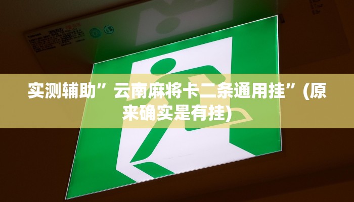 实测辅助”云南麻将卡二条通用挂”(原来确实是有挂)