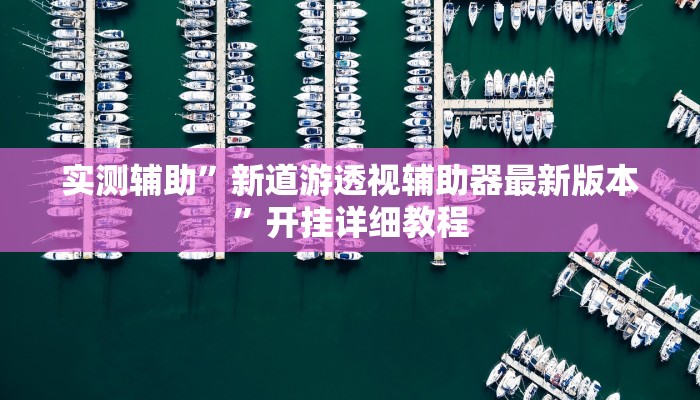 实测辅助”新道游透视辅助器最新版本”开挂详细教程