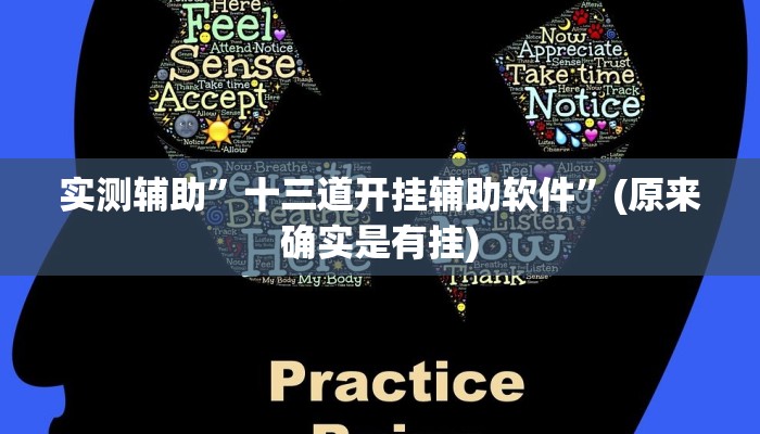 实测辅助”十三道开挂辅助软件”(原来确实是有挂)