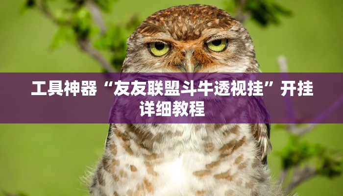 工具神器“友友联盟斗牛透视挂”开挂详细教程