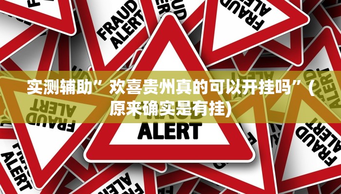 实测辅助”欢喜贵州真的可以开挂吗”(原来确实是有挂)