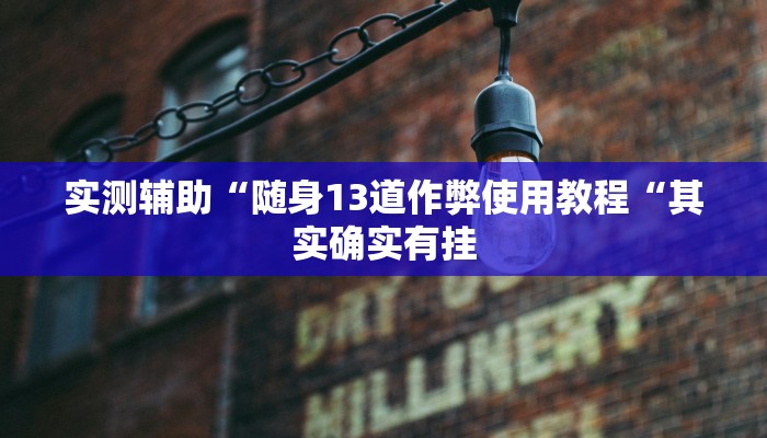 实测辅助“随身13道作弊使用教程“其实确实有挂