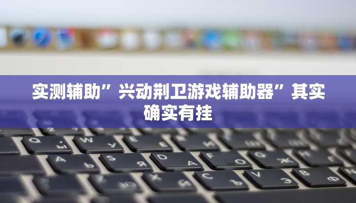 实测辅助”兴动荆卫游戏辅助器”其实确实有挂