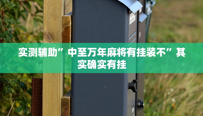 实测辅助”中至万年麻将有挂装不”其实确实有挂