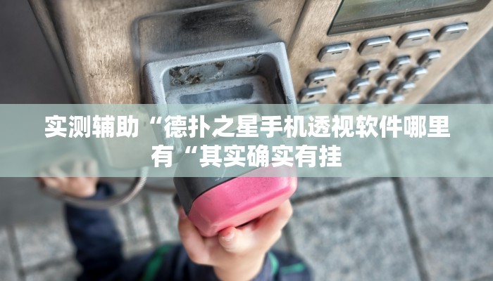 实测辅助“德扑之星手机透视软件哪里有“其实确实有挂