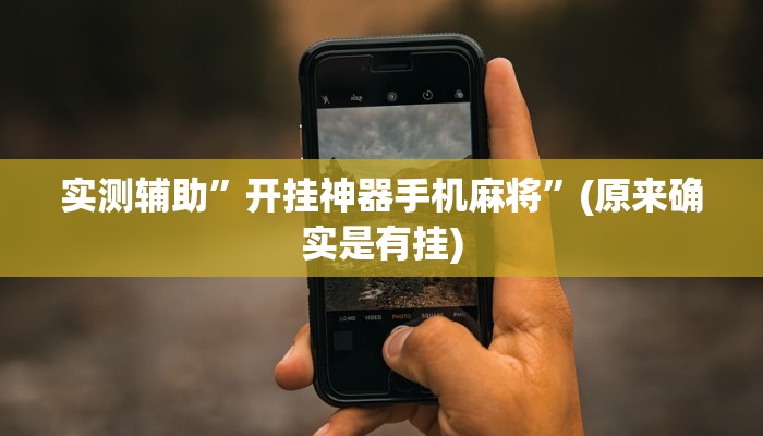 实测辅助”开挂神器手机麻将”(原来确实是有挂)