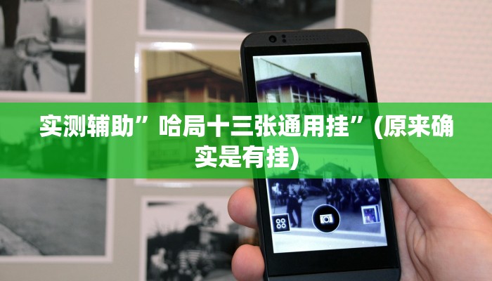 实测辅助”哈局十三张通用挂”(原来确实是有挂)