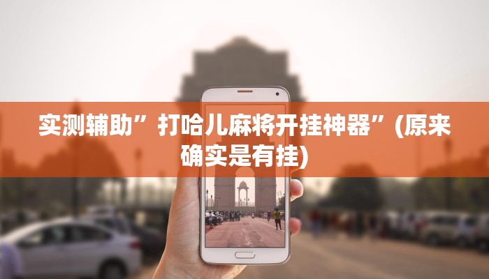 实测辅助”打哈儿麻将开挂神器”(原来确实是有挂)