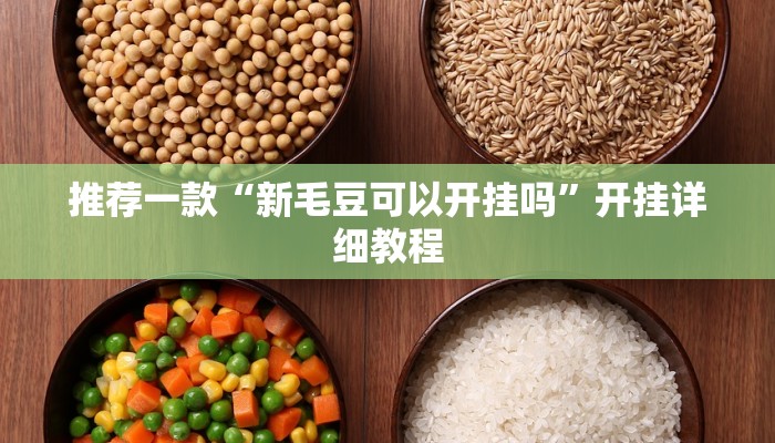 推荐一款“新毛豆可以开挂吗”开挂详细教程