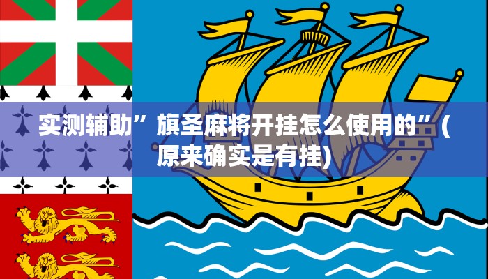 实测辅助”旗圣麻将开挂怎么使用的”(原来确实是有挂)