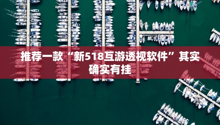推荐一款“新518互游透视软件”其实确实有挂