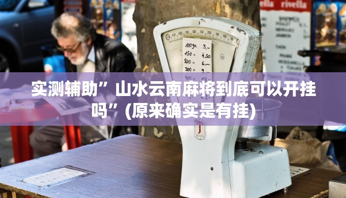 实测辅助”山水云南麻将到底可以开挂吗”(原来确实是有挂)