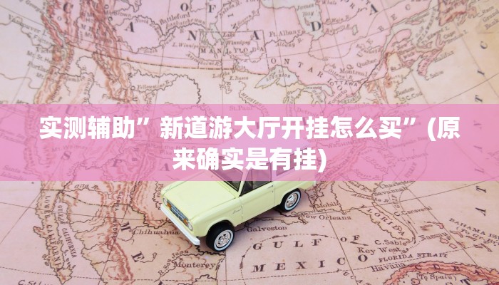 实测辅助”智星德州菠萝辅助开挂”(原来确实是有挂)