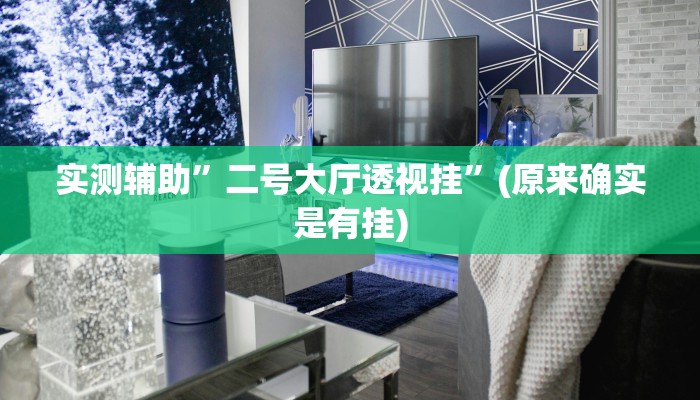 实测辅助”二号大厅透视挂”(原来确实是有挂)