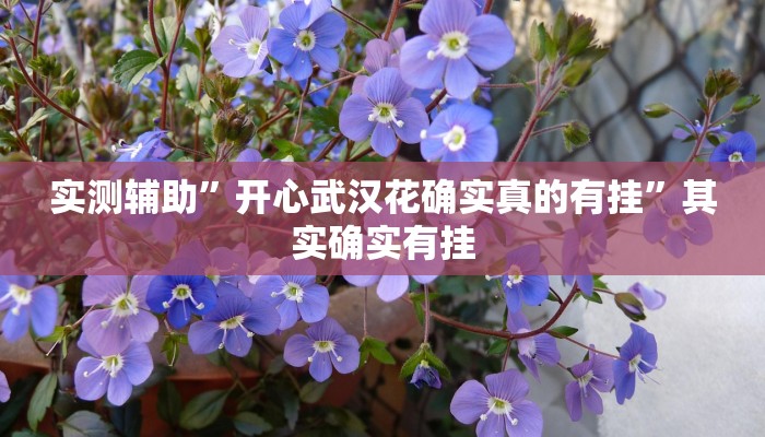 实测辅助”开心武汉花确实真的有挂”其实确实有挂
