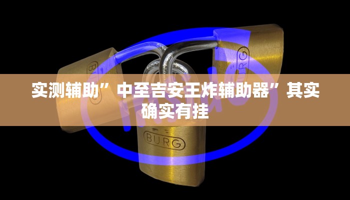实测辅助”中至吉安王炸辅助器”其实确实有挂