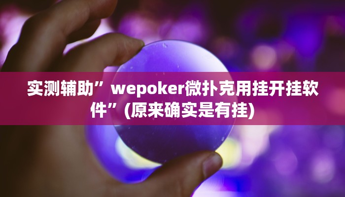 实测辅助”wepoker微扑克用挂开挂软件”(原来确实是有挂)