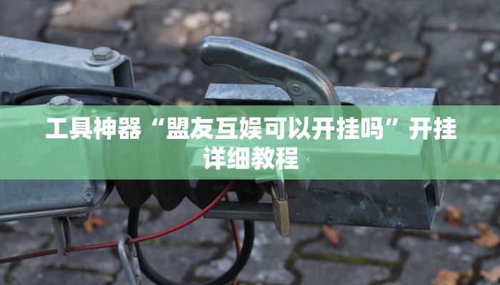 工具神器“盟友互娱可以开挂吗”开挂详细教程