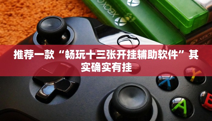 推荐一款“畅玩十三张开挂辅助软件”其实确实有挂