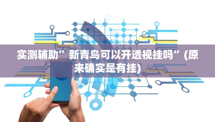 实测辅助”新青鸟可以开透视挂吗”(原来确实是有挂)