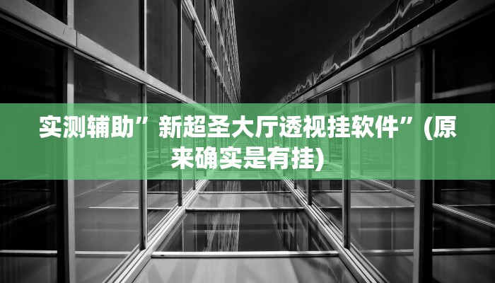 实测辅助”新超圣大厅透视挂软件”(原来确实是有挂)