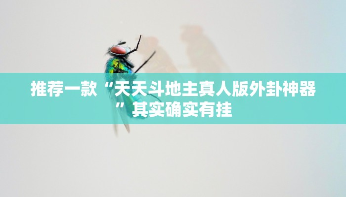 推荐一款“天天斗地主真人版外卦神器”其实确实有挂