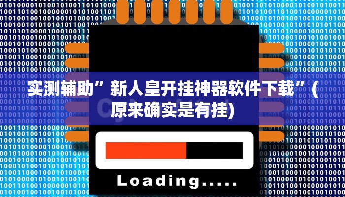 实测辅助”新人皇开挂神器软件下载”(原来确实是有挂)