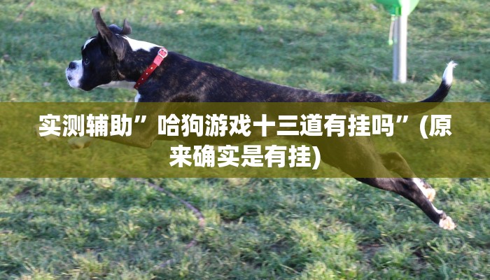 实测辅助”哈狗游戏十三道有挂吗”(原来确实是有挂)