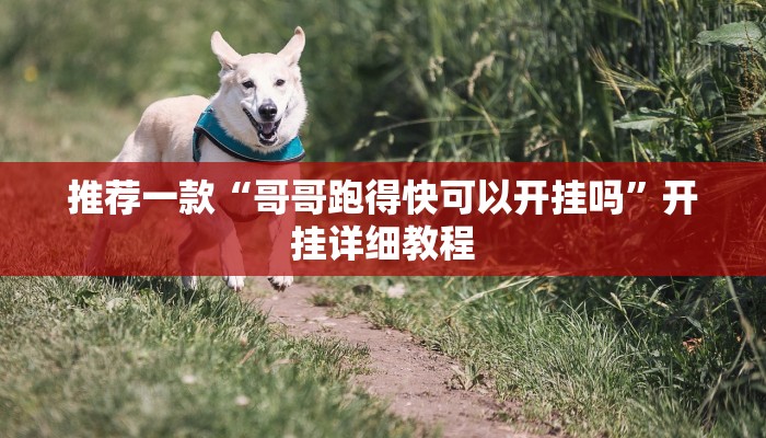 推荐一款“哥哥跑得快可以开挂吗”开挂详细教程