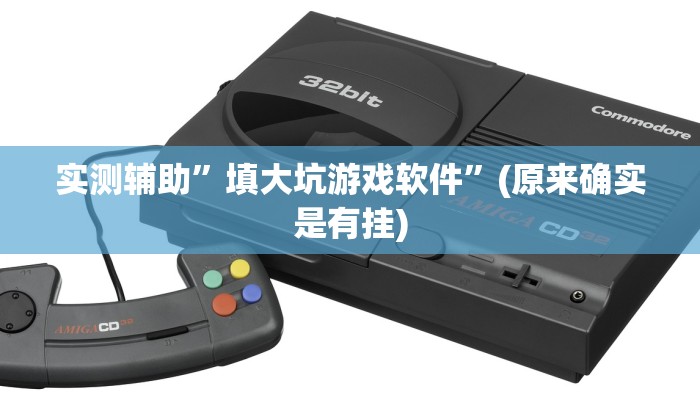 实测辅助”填大坑游戏软件”(原来确实是有挂)
