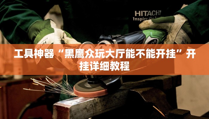 工具神器“黑鹰众玩大厅能不能开挂”开挂详细教程