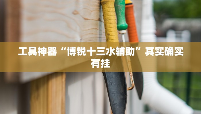 工具神器“博锐十三水辅助”其实确实有挂
