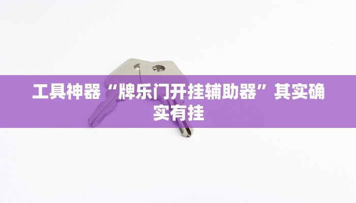 工具神器“牌乐门开挂辅助器”其实确实有挂